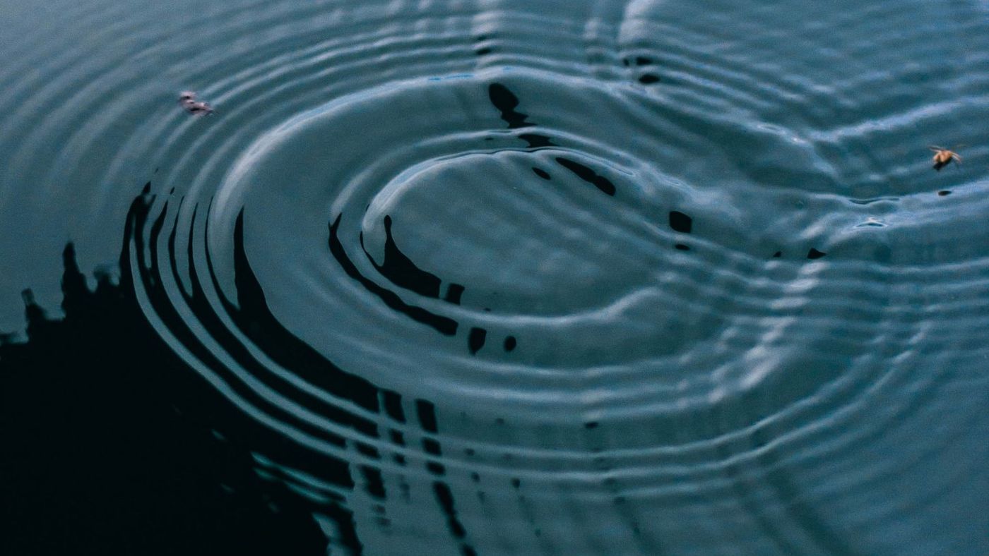 Calm ripples spreading across still, blue-gray water